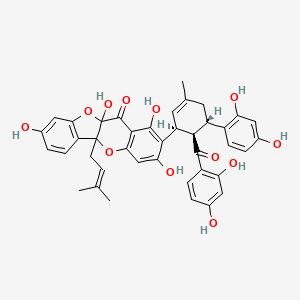 	Sanggenon C