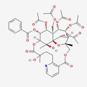 	Wtlfordine