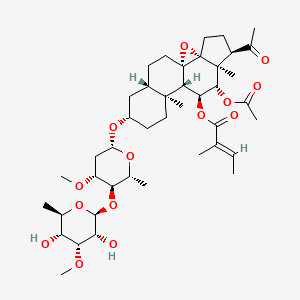 2D-img