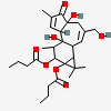 an image of a chemical structure CID 500033