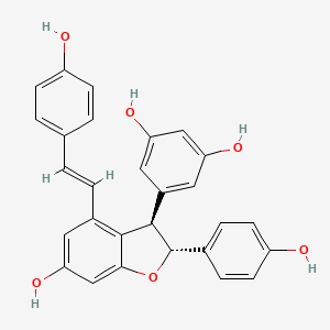 2D-img