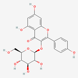 	Astragalin