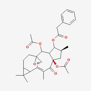 	Euphobiasteroid