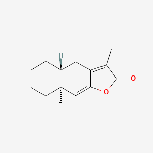 2D-img