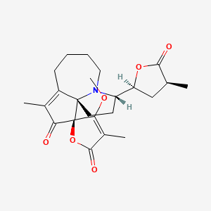 	Protostemotinine