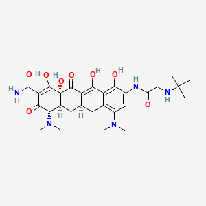 	Tigecycline