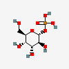 an image of a chemical structure CID 67062905