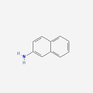 2 Naphthylamine C10h9n Pubchem - 