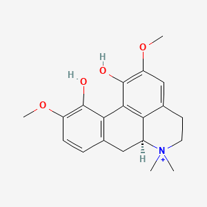 2D-img