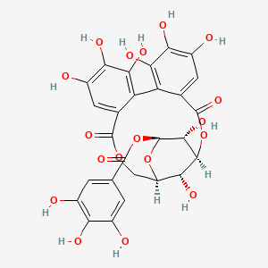 2D-img