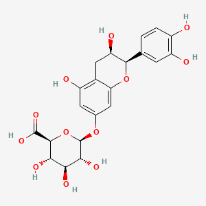 Epicatechin-7-glucuronide | C21H22O12 | CID - PubChem