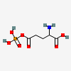 an image of a chemical structure CID 843