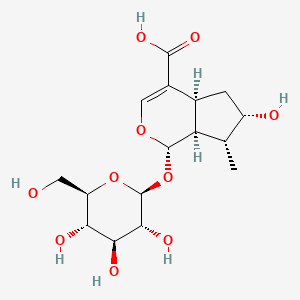 	Loganic acid