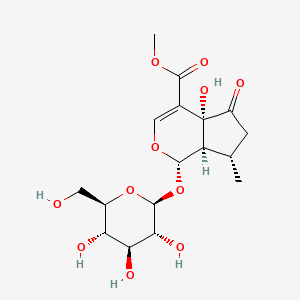 	hastatoside