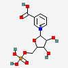 an image of a chemical structure CID 941
