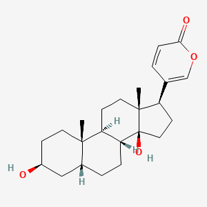 2D-img