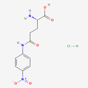 GPNA (L-γ-Glutamyl-p-nitroanilide)