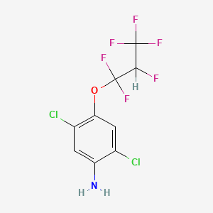 2,5-Dichloro-4-(1,1,2,3,3,3-hexafluoropropoxy)aniline