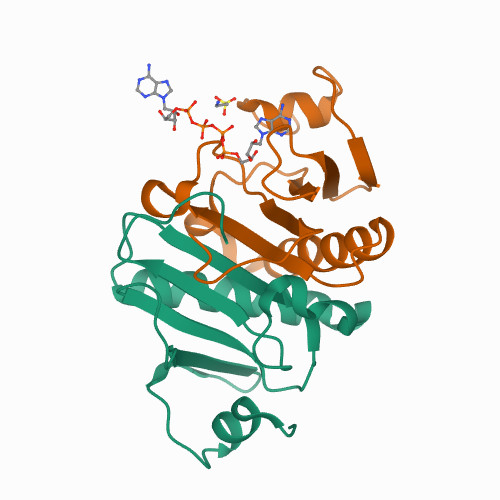 Taurine Molecule - Colored Structural Formula' Tote Bag