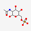 2-acetamido-2-deoxy-6-O-phosphono-alpha-D-glucopyranose
