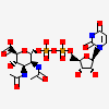 an image of a chemical structure SID 135626212