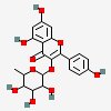 5,7-dihydroxy-2-(4-hydroxyphenyl)-4-oxo-4H-chromen-3-yl 6-deoxy-alpha-L-mannopyranoside