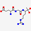 L-alpha-glutamyl-N-{(1S)-4-{[amino(iminio)methyl]amino}-1-[(1S)-2-chloro-1-hydroxyethyl]butyl}glycinamide