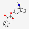 Hydroxy-phenyl-acetic Acid 8-methyl-8-aza-bicyclo[3.2.1]oct-3-yl Ester