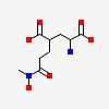 (4R)-4-{3-[hydroxy(methyl)amino]-3-oxopropyl}-L-glutamic acid