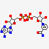 2'-monophosphoadenosine 5'-diphosphoribose