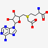 (2s)-4-[{[(2s,3s,4r,5r)-5-(6-Amino-9h-Purin-9-Yl)-3,4-Dihydroxytetrahydrofuran-2-Yl]methyl}(Carboxylatomethyl)sulfonio]-2-Ammoniobutanoate