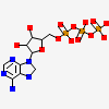 Adenosine-5'-Triphosphate