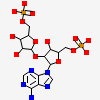 2'-O-(5-O-phosphono-alpha-D-ribofuranosyl)adenosine 5'-(dihydrogen phosphate)