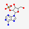 Adenosine-2'-Monophosphate
