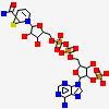 Nadp Nicotinamide-Adenine-Dinucleotide Phosphate