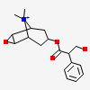 N-methyl scopolamine