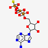 Phosphothiophosphoric Acid-Adenylate Ester