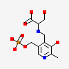 (2R)-2-[(E)-[2-methyl-3-oxidanyl-5-(phosphonooxymethyl)pyridin-4-yl]methylideneamino]-3-oxidanyl-propanoic acid