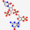 3'-O-[(R)-{[(2r,3ar,4r,6r,6ar)-6-(2-Amino-6-Oxo-1,6-Dihydro-9h-Purin-9-Yl)-2-Hydroxy-2-Oxidotetrahydrofuro[3,4-D][1,3,2]dioxaphosphol-4-Yl]methoxy}(Hydroxy)phosphoryl]uridine 5'-(Dihydrogen Phosphate)