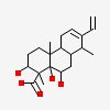 (5beta,6alpha,8alpha,14alpha)-13-Ethenyl-5,6-Dihydroxy-14-Methylpodocarp-12-En-15-Oic Acid