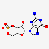 Cyclic Guanosine Monophosphate