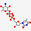 (3R,4S,5R,6R)-4-amino-3,5-dihydroxy-6-methyloxan-2-yl][hydroxy-[[(2R,3S,5R)-3-hydroxy-5-(5-methyl-2,4-dioxopyrimidin-1-yl)oxolan-2-yl]methoxy]phosphoryl] hydrogen phosphate