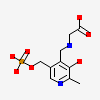 N-GLYCINE-[3-HYDROXY-2-METHYL-5-PHOSPHONOOXYMETHYL-PYRIDIN-4-YL-METHANE]