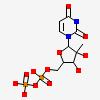 2'-C-Methyluridine 5'-(Trihydrogen Diphosphate)