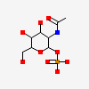 2-acetamido-2-deoxy-1-O-phosphono-alpha-D-glucopyranose