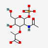 2-(Acetylamino)-3-O-[(1r)-1-Carboxyethyl]-2-Deoxy-1-O-Phosphono-Alpha-D-Glucopyranose