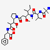 2-Methyl-L-Alanyl-N-[(3r,4s,5s)-1-{(2s)-2-[(1r,2r)-3-{[(1s)-1-Carboxy-2-Phenylethyl]amino}-1-Methoxy-2-Methyl-3-Oxopropyl]pyrrolidin-1-Yl}-3-Methoxy-5-Methyl-1-Oxoheptan-4-Yl]-N-Methyl-L-Valinamide