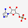 5-Aminoimidazole Ribonucleotide