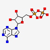 Amppnp, 5'-adenyly-imido-triphosphate