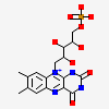 黄素单核苷酸